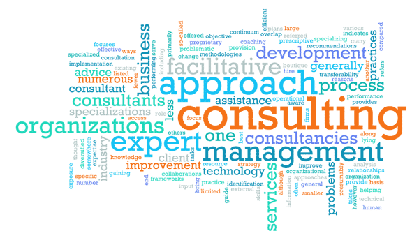 CMMI Consulting Services by DQS India